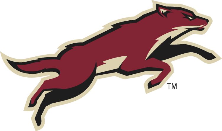 Phoenix Coyotes 2008-Pres Alternate Logo iron on heat transfer